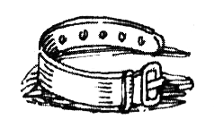 Зоопарк в моей квартире (сборник) - i_010.png
