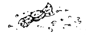 Зоопарк в моей квартире (сборник) - i_018.png