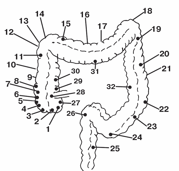 Система здоровья Нормана Уокера - i_002.png