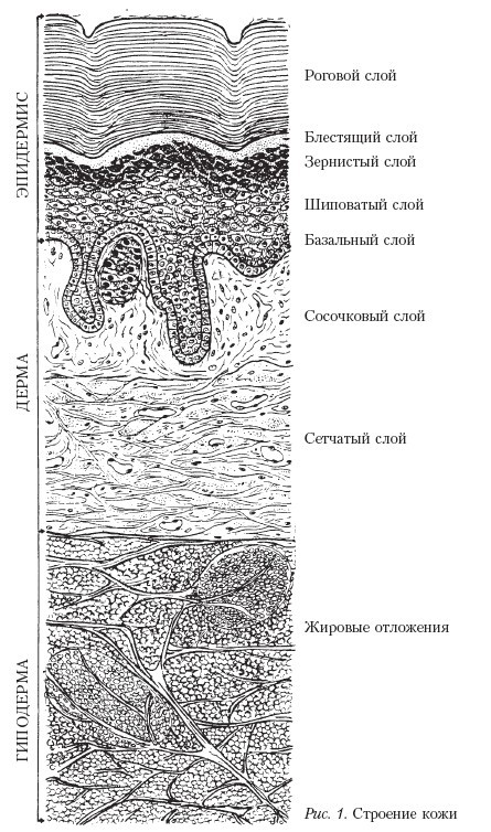 Самоучитель массажа. - _1.jpg