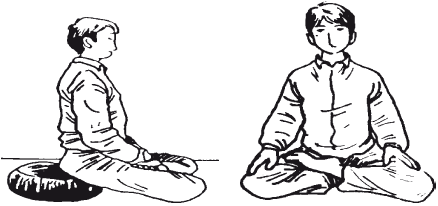 Ресницы Дарумы: парадигма Кэмпо-Дзэн - i_017.png