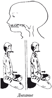 Ресницы Дарумы: парадигма Кэмпо-Дзэн - i_020.png