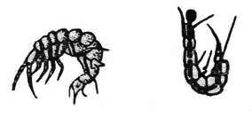 Все о зимней рыбалке - i_036.png