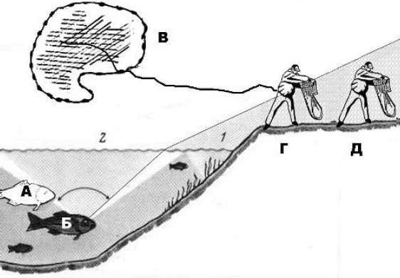 Ловля карповых рыб - i_012.jpg
