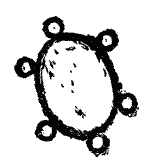 Георг — Синяя Птица (с иллюстрац.) - img_33.png