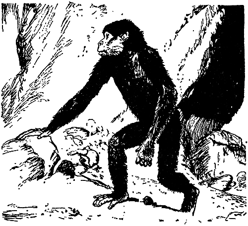 Великие открытия (илл.) - i_003.png