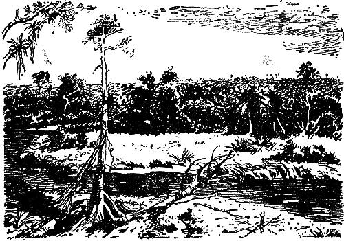 Великие открытия (илл.) - i_010.png