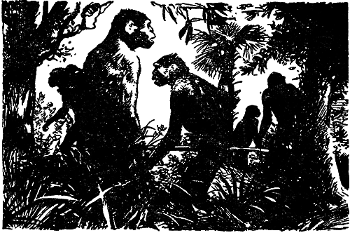 Великие открытия (илл.) - i_012.png