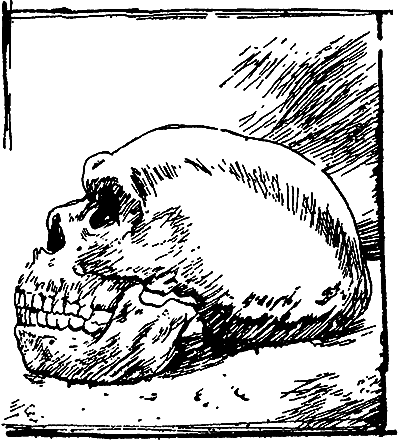 Великие открытия (илл.) - i_030.png