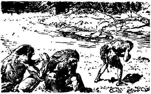 Великие открытия (илл.) - i_036.png