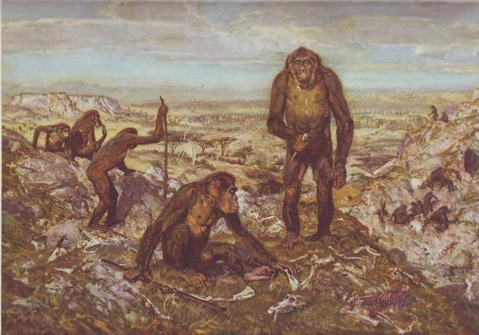 Жизнь древнего человека - i_003.jpg