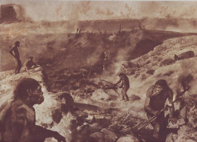 Жизнь древнего человека - i_008.jpg