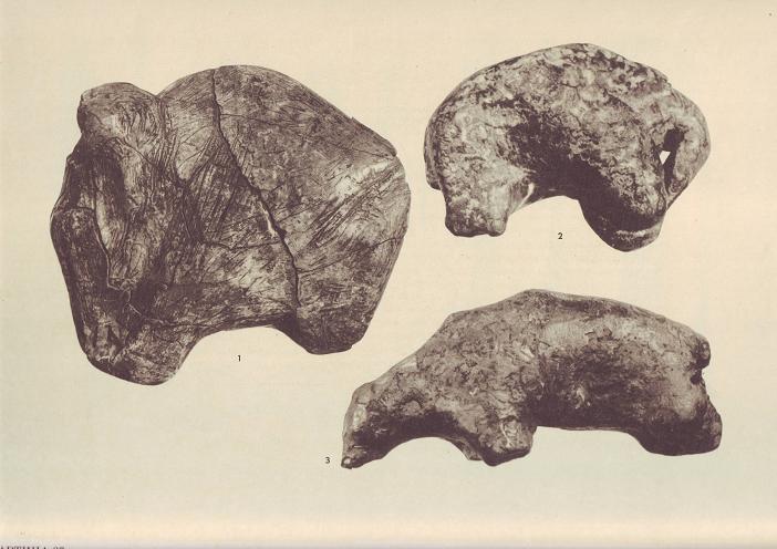 Жизнь древнего человека - i_039.jpg