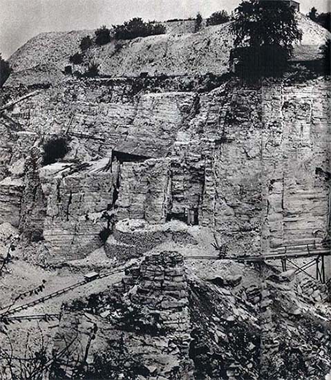 Летающие ящеры и древние птицы - _14.jpg