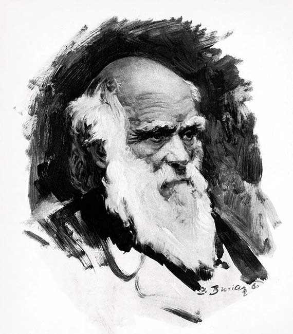 Летающие ящеры и древние птицы - _17.jpg