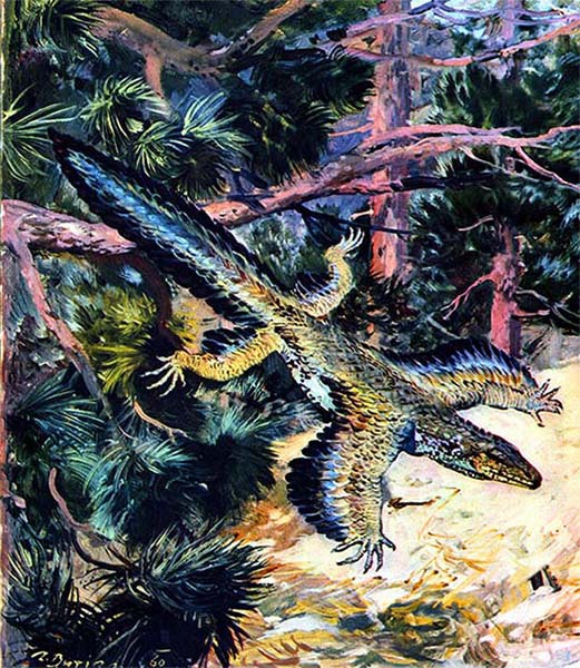 Летающие ящеры и древние птицы - _36.jpg