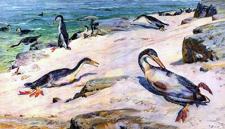 Летающие ящеры и древние птицы - _39.jpg