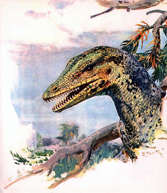 Летающие ящеры и древние птицы - _38.jpg