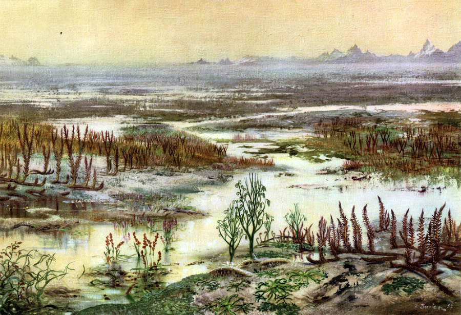 По пути развития жизни - doc2fb_image_02000008.jpg