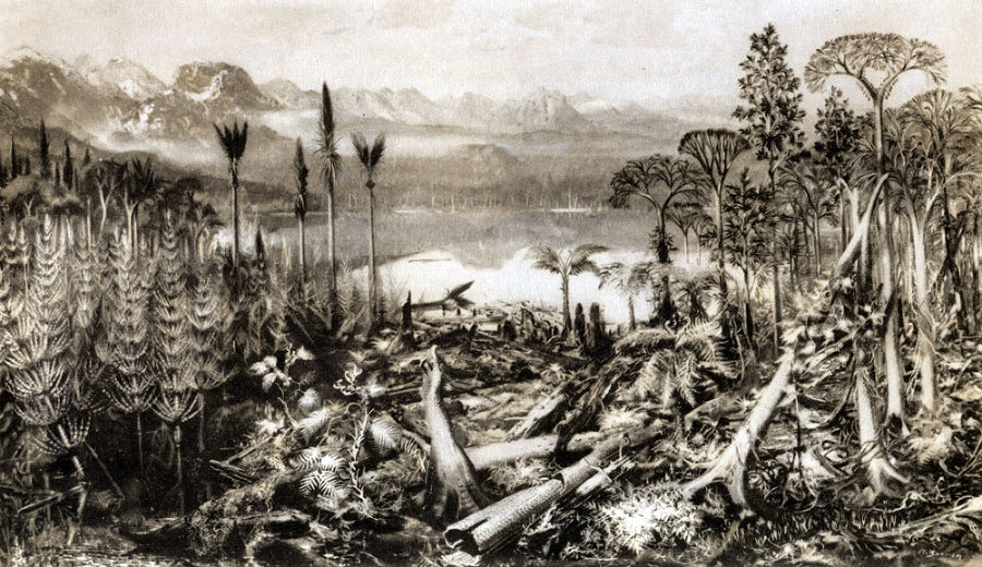 По пути развития жизни - doc2fb_image_0200000A.jpg