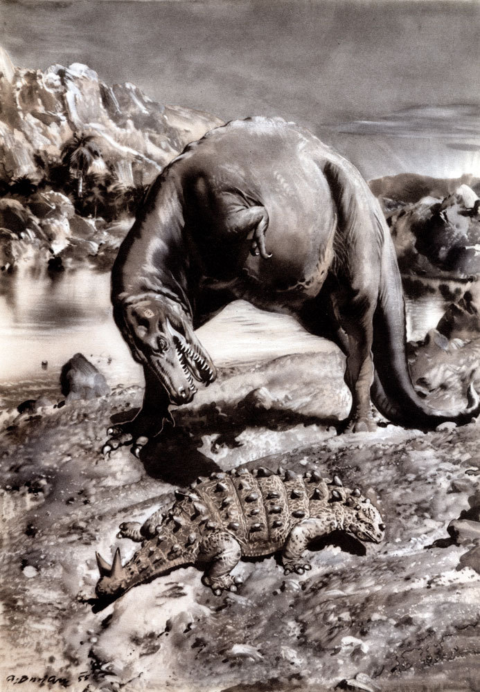 По пути развития жизни - doc2fb_image_02000026.jpg