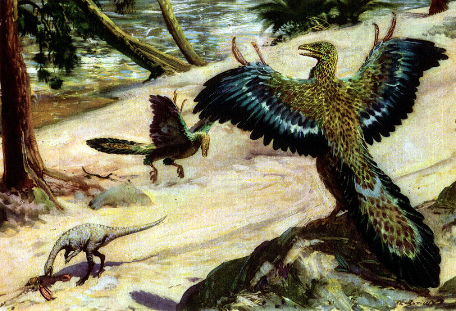 По пути развития жизни - doc2fb_image_02000028.jpg