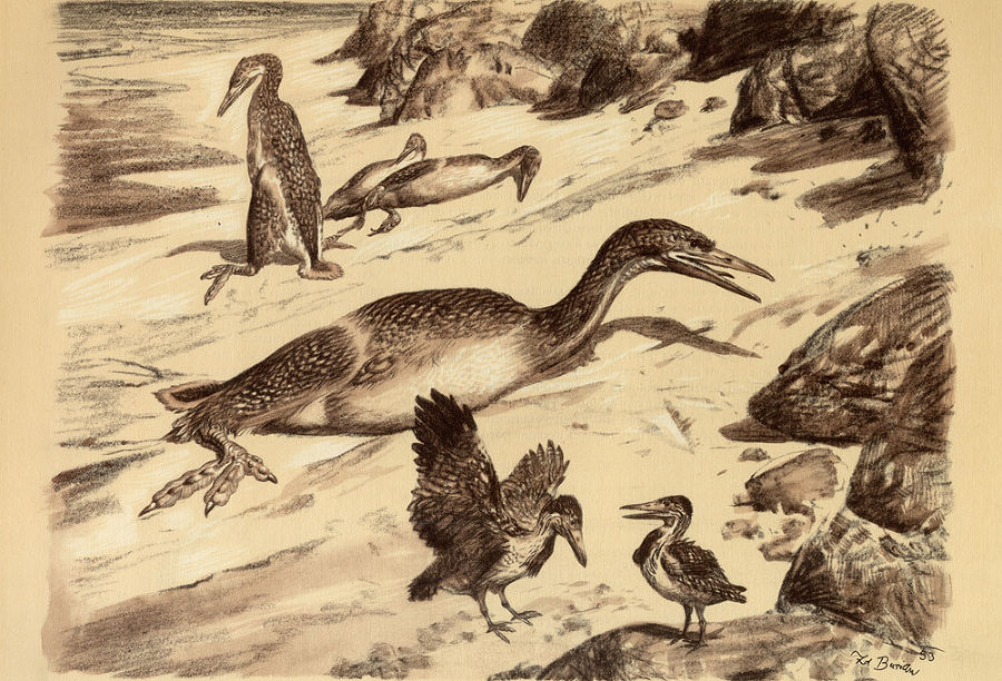 По пути развития жизни - doc2fb_image_02000029.jpg