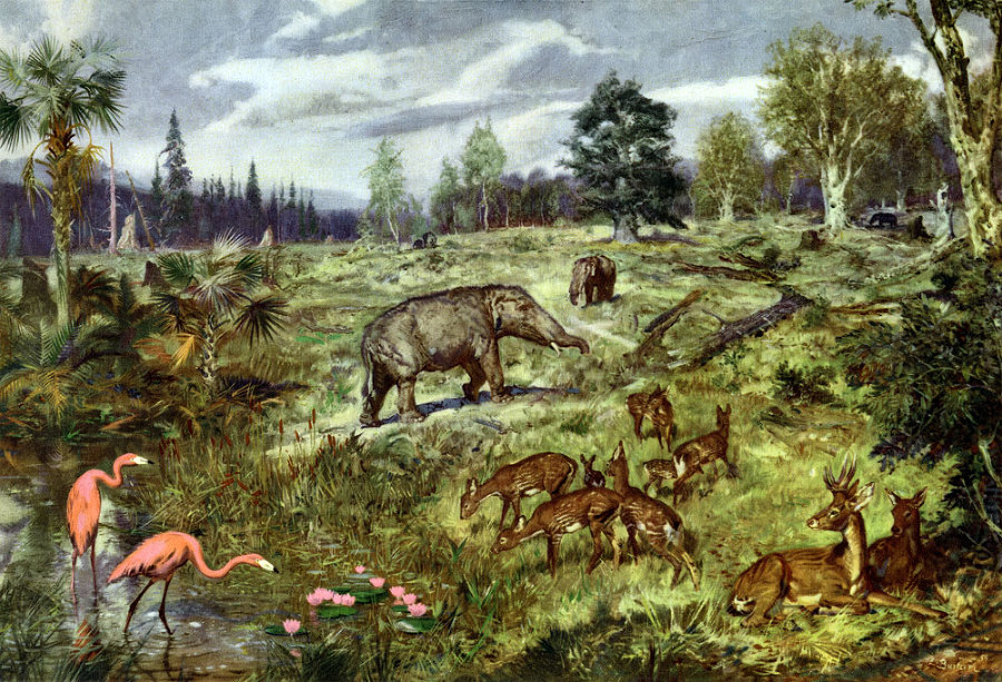 По пути развития жизни - doc2fb_image_0200002E.jpg