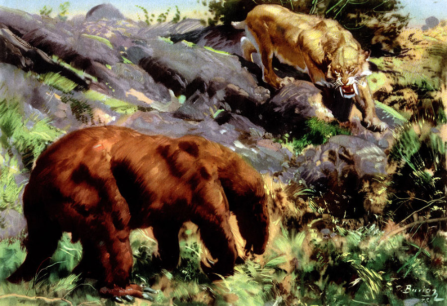 По пути развития жизни - doc2fb_image_02000035.jpg