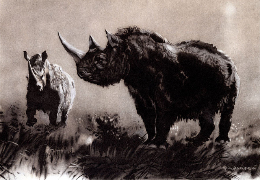 По пути развития жизни - doc2fb_image_02000037.jpg