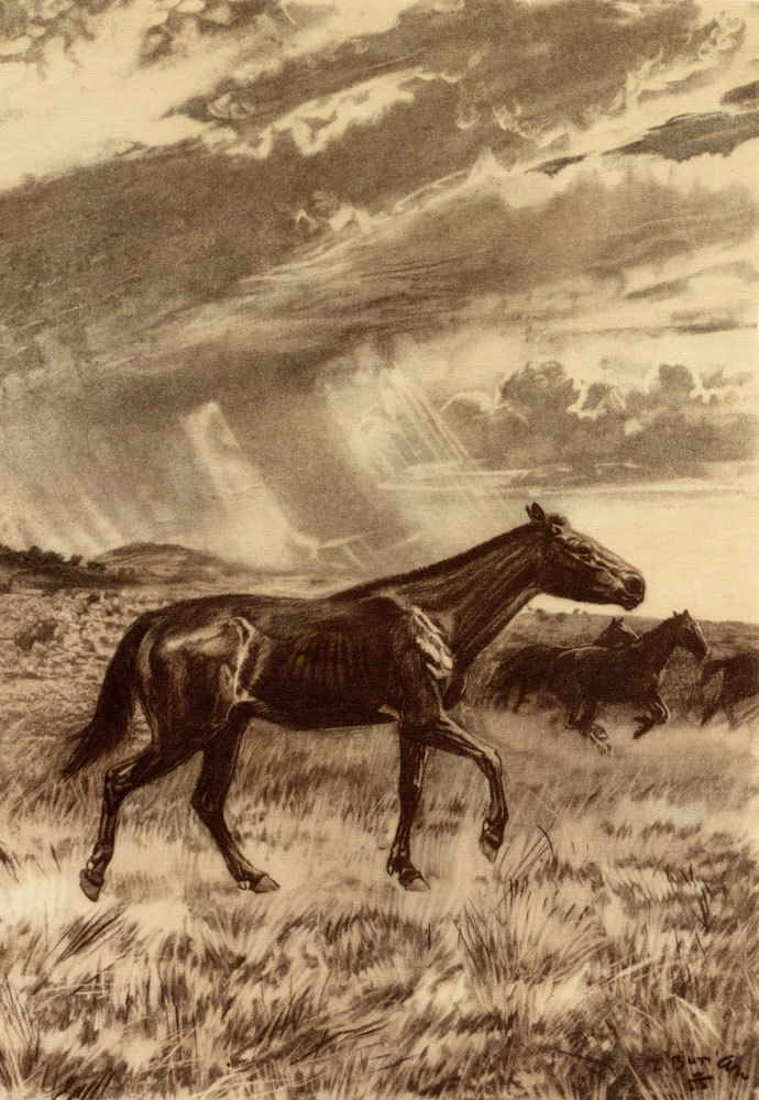 По пути развития жизни - doc2fb_image_0200003C.jpg