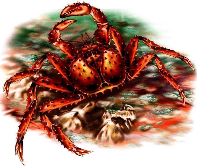 Жуки и другие удивительные насекомые - i_008.jpg