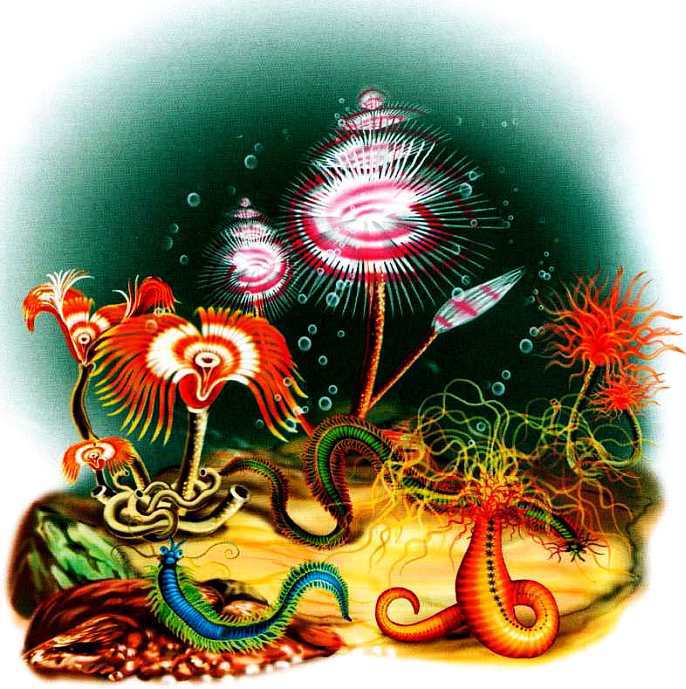 Жуки и другие удивительные насекомые - i_009.jpg