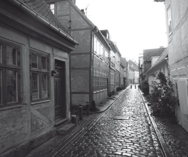 Дом на хвосте паровоза. Путеводитель по Европе в сказках Андерсена - i_035.jpg