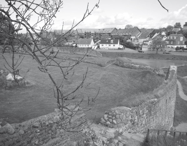 Дом на хвосте паровоза. Путеводитель по Европе в сказках Андерсена - i_045.jpg