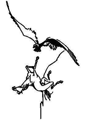 Золотой узел - _7.jpg