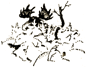 Кладбище мамонтов - i_003.png