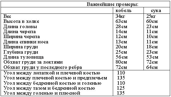 Атлас пород собак - i_066.png