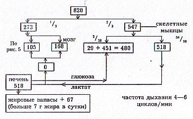 Вегетаринство (Загадки и уроки, польза и вред) - _06.jpg