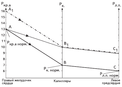Единственная правда об астме - i_002.png