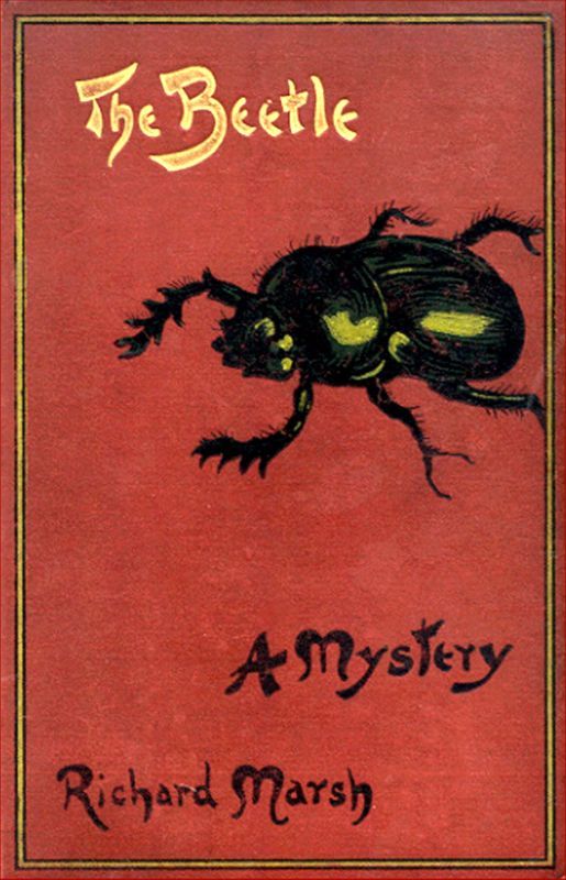 Жук <br />(Том II) - i_003.jpg