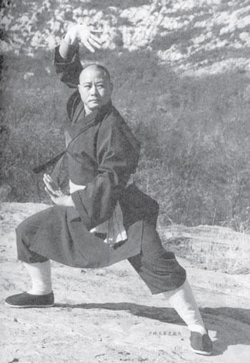 Уличное кунфу - i_021.jpg