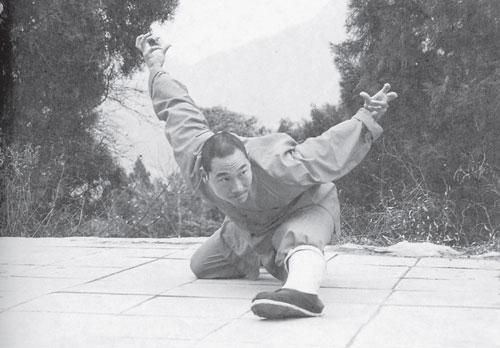 Уличное кунфу - i_023.jpg