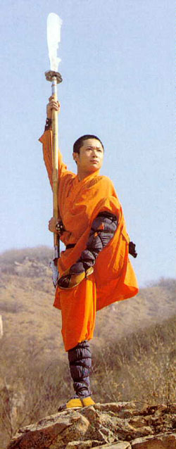 Уличное кунфу - i_028.jpg