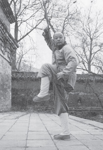 Уличное кунфу - i_033.jpg