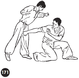 Уличное кунфу - i_213.png