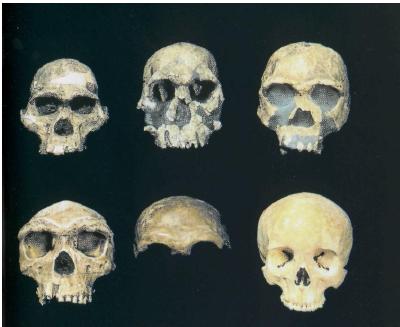 Изгнание из Эдема - foto3.jpg