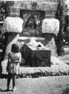 В погоне за Мексикой - img_18.jpg