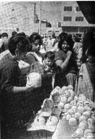 В погоне за Мексикой - img_19.jpg