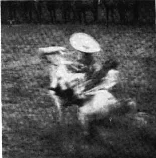 В погоне за Мексикой - img_23.jpg